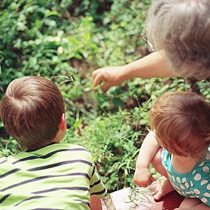 grandparents’ rights to see grandchildren